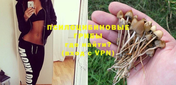 гашик Покачи