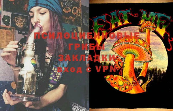 гашик Покачи