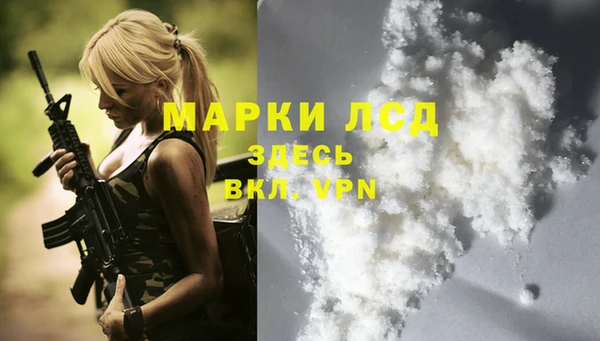 гашик Покачи