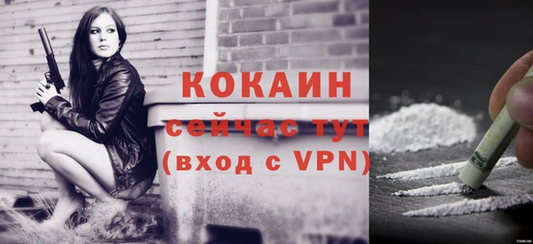 гашик Покров