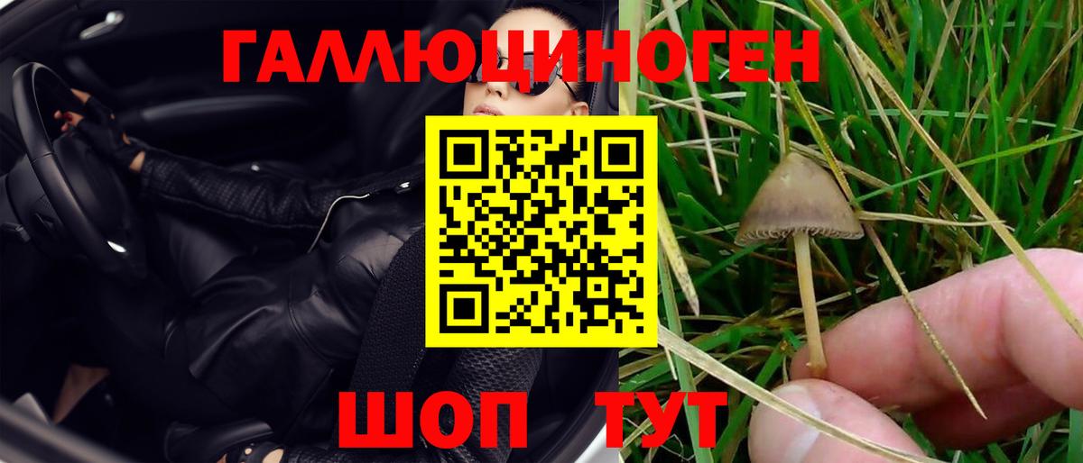Светлоград  Галлюциногенные грибы GOLDEN TEACHER  Вход с VPN 