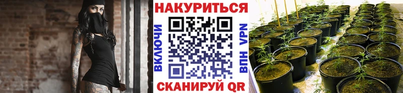 Конопля индика kraken вход Светлоград цены наркотик